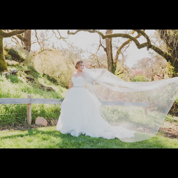 Wedding Dress - Picture 5 of 5